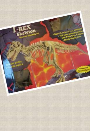 Photo T-Rex Dinosaur Large Display Model $250