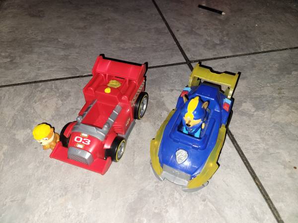 paw patrol on the rescue
