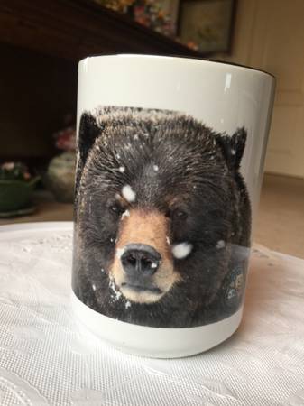 Photo Big Bear Cup. $8