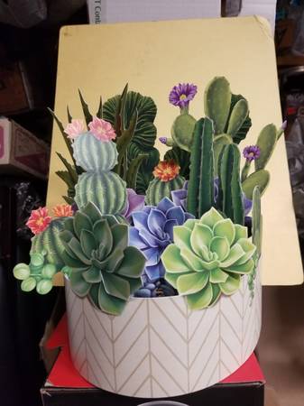 Photo FREE Paper Cactus Fold-up Garden