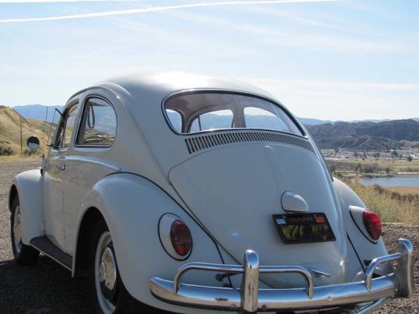 Photo VW bug 1963 - $1 (Riverside)