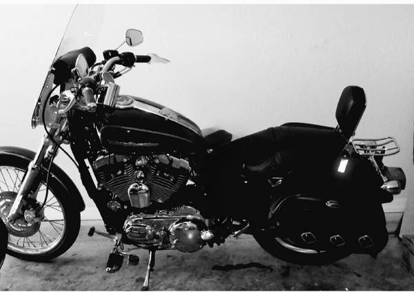 Photo 2007 MC1200 Harley Davidson Sportster $3,500