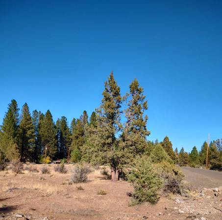 Photo Three Lots For the Price of One MLS 220154874 $19,000
