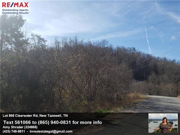 1.31 Acre Mostly Level Building Lot with Norris Lake Access $19,900
