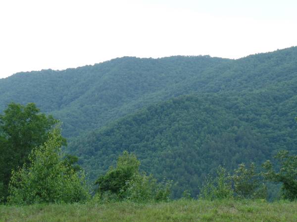 Photo North Carolina Mountains - Western Region near Fontana Lake $38,000
