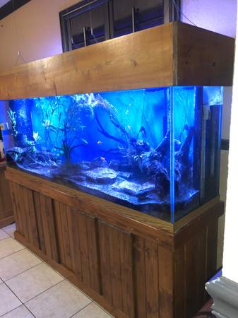 Photo 150 Gallon Fish Tank $400