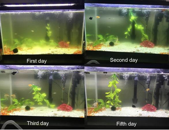 Photo aquarium uv sterilizer-keeps water clear $20