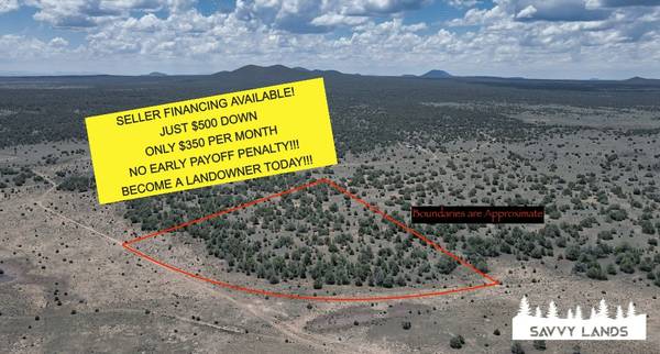 Photo Land for Sale - Cibola County - New Mexico Land - Vacant Land - $500 $500