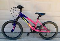 nishiki youth mountain bike