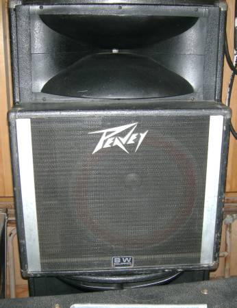 Photo Peavey SP-2 speakers $150