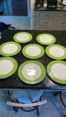 Photo 8 Retro 70S Green Style Porcelain Dinner Plates echo design New York Pea Green $40