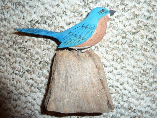 Photo Blue bird and road runner $12