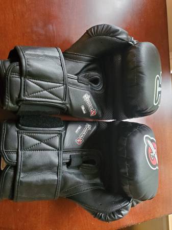 Photo Hayabusa boxing gloves $70