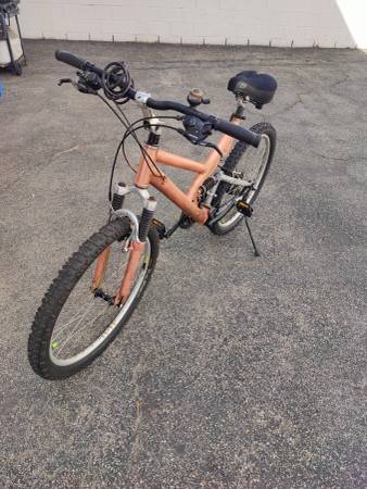 giant warp ds2 mountain bike