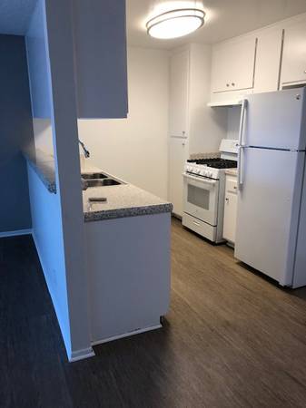 Photo One-Bedroom, One-Bathroom Apartment with Wood-Style Floors $2,817