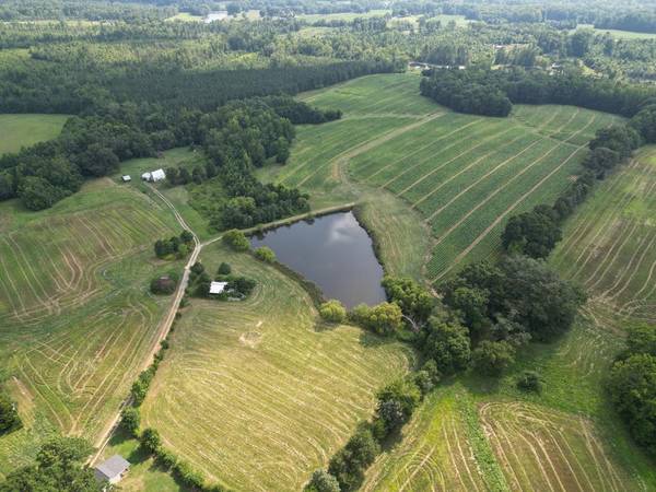Photo 50 Acres on Cutsey Hill Road, Chase City, VA $249,000