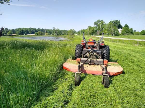 Photo Brush Mowing  Field mowing $1
