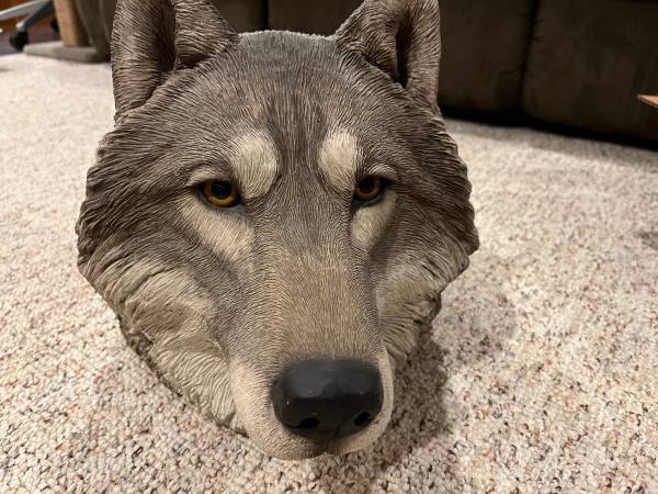 Photo Sandicast Grey Wolf head decor collectable $25