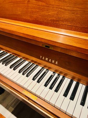 Photo Yamaha P22 Piano Walnut $2,275