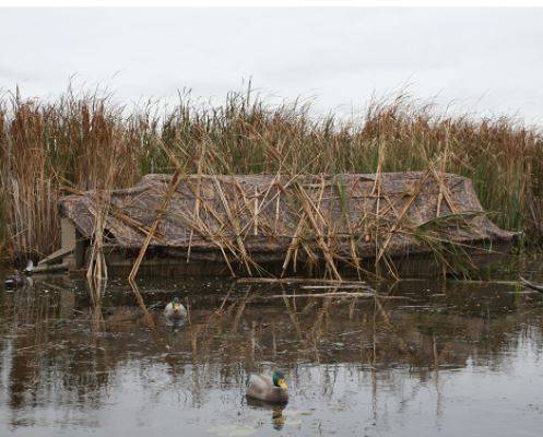 Photo BeaverTail 1600 Flip Over Boat Blind-Wetland Karma Camo $689