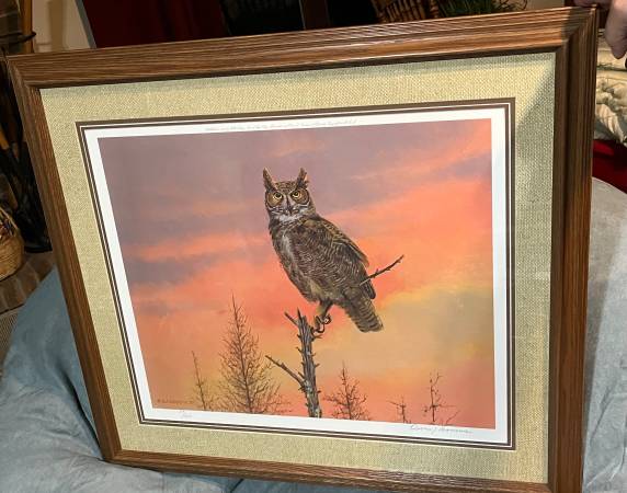Photo Eyes of the Night by Owen Gromme owl framedsignednumbered $150