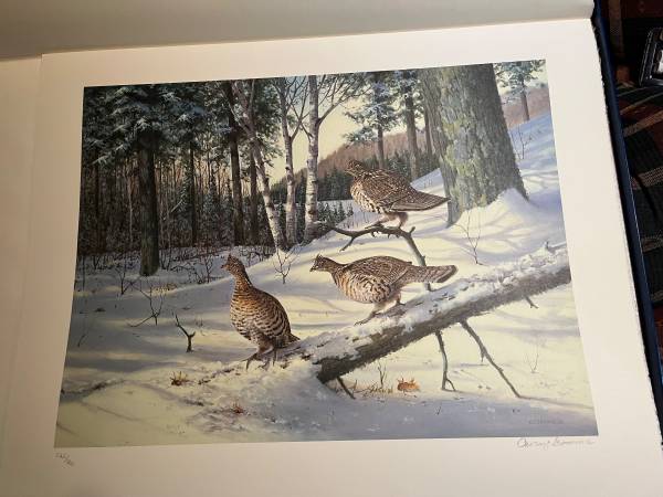 Photo Owen Gromme Ruffed Grouse medallion print SL signed numbered $150