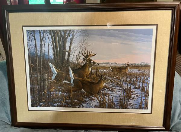 Photo Seasons End-Whitetail Deer Michael Sieve signed numbered framed print $175