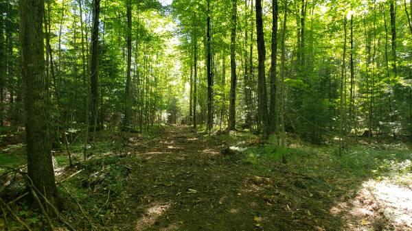Photo Six Acres on the Snowmobile Trail Near North Twin Lake $44,900