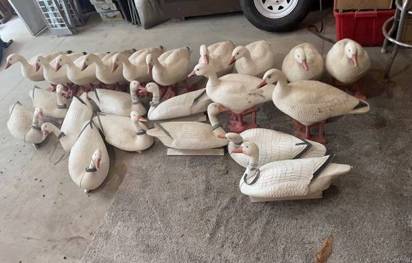 Photo Big Foot Snow Goose Decoys and Floaters $400