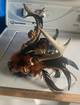Photo Decorative deer antlers, whitetail antler skull, costume, wall display $3