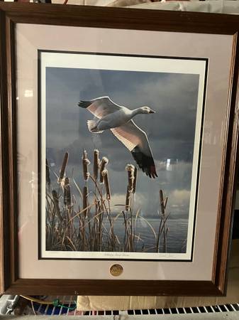 Photo Ducks Unlimited Wildlife Prints $100