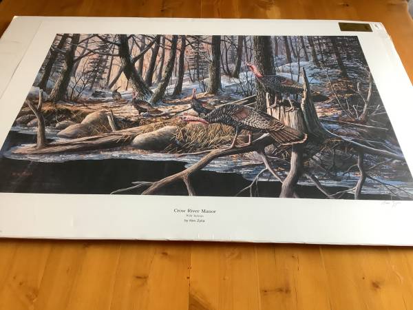 Photo Ken Zylla Crow River Wild Turkeys Print $20