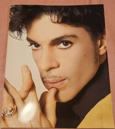 Photo Tourbook Musicology Live 2004ever Prince and The New Power Generation $60