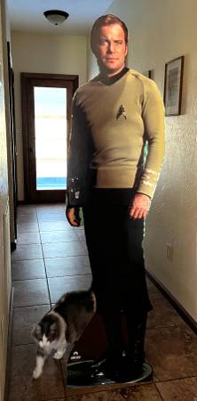 Photo Star Treks Captain James T. Kirk Lifesize Standee 1992 $100