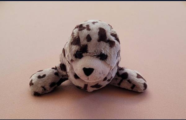 Wild Republic 17 Harbor Seal Plush Stuffed Animal-$15 or best offer $15