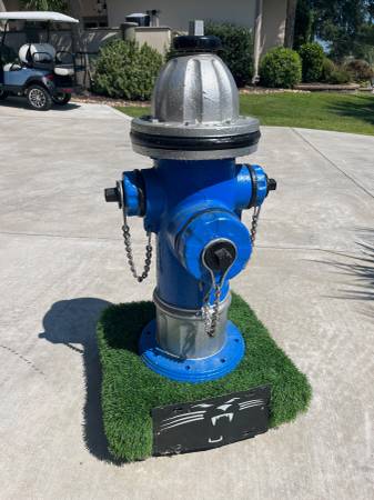 Photo Carolina Panthers Custom Fire Hydrant $500