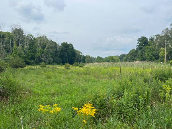 Photo OFF-MARKET 306, 450 Sq Ft Vacant Land in Hardyston $157,500
