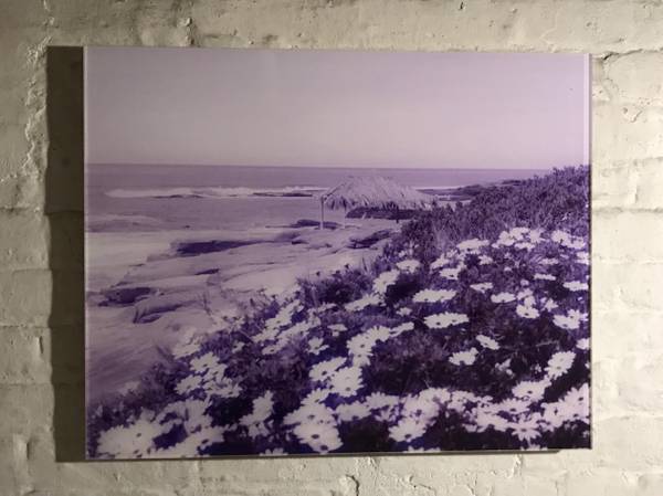 Photo Lilac Coast High-End Acrylic Art (25x 20) $90