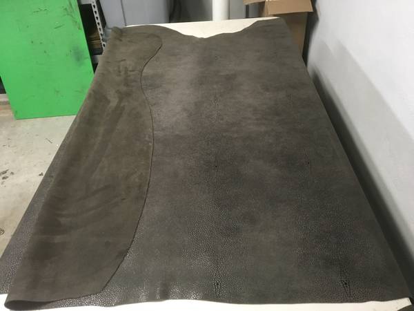 Photo Stingray embossed leather hide $240