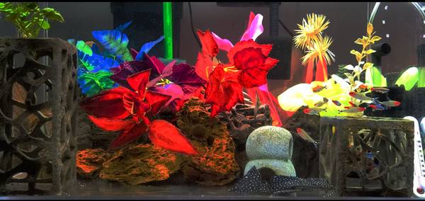 Photo glow in the dark plants for aquarium fish tank $15
