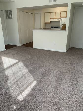 Lake View Vibes  One Bedroom in The HEART of VB  $1,237