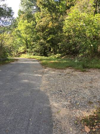 Photo Land 10 ac. Nelson Co. at Albemarle line