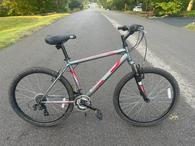 nishiki youth mountain bike