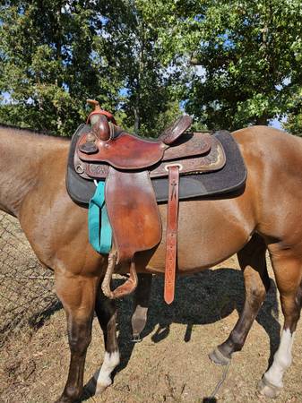 Photo Circle Y saddle $600