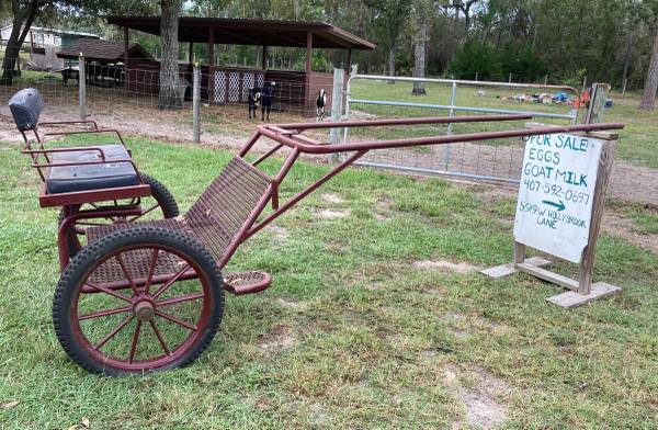 Photo Two Wheel Horse Cart $500