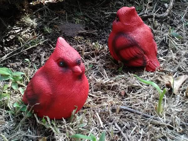 Photo 1$12 Cement Bird Garden Rocks Red Cardinal Blue Green or Yellow Finch $12