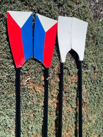 Photo Buying sculling oars for rowing shell Concept2 Croker Dreher Maas