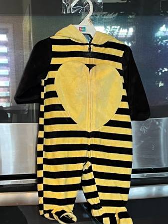 Bumble Bee Costumes $6