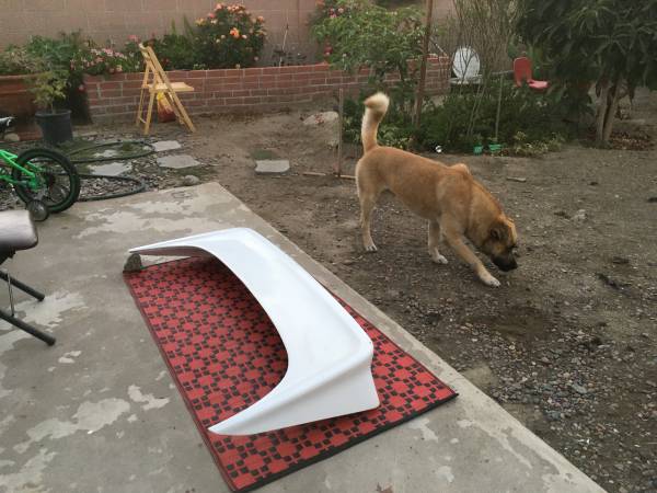Photo 1989 Ford MustangGt Back Spoiler
