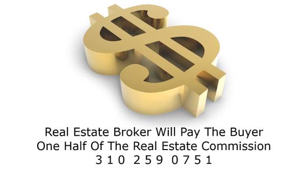 Newport Beach FOR REAL ESTATE BUYERS . Paid By This Real Estate Broker